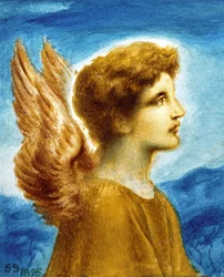 Angel Boy